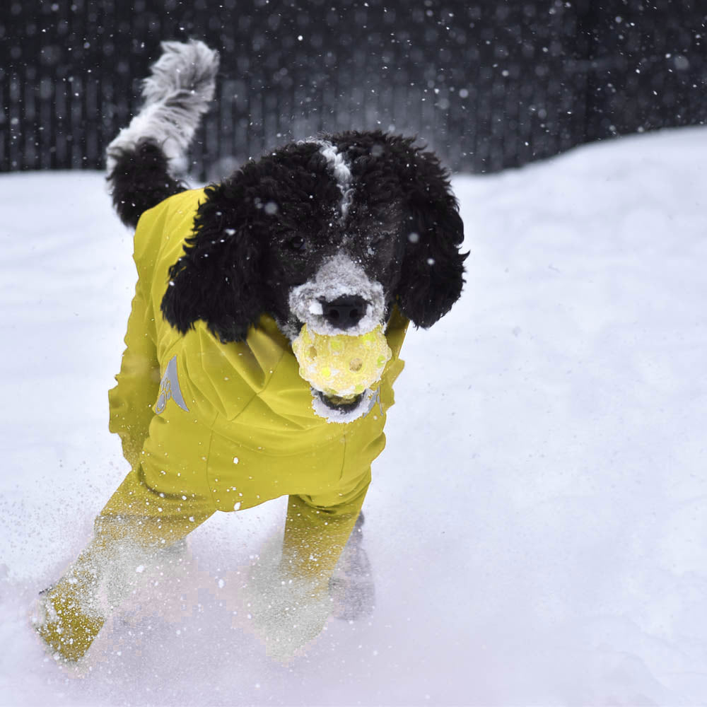 Z'Anorak Classique - Jaune Canari