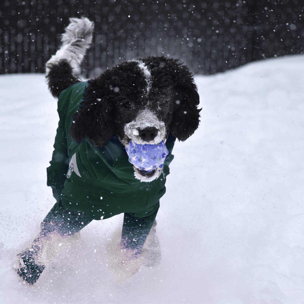 Z'Anorak Classique - Vert forêt