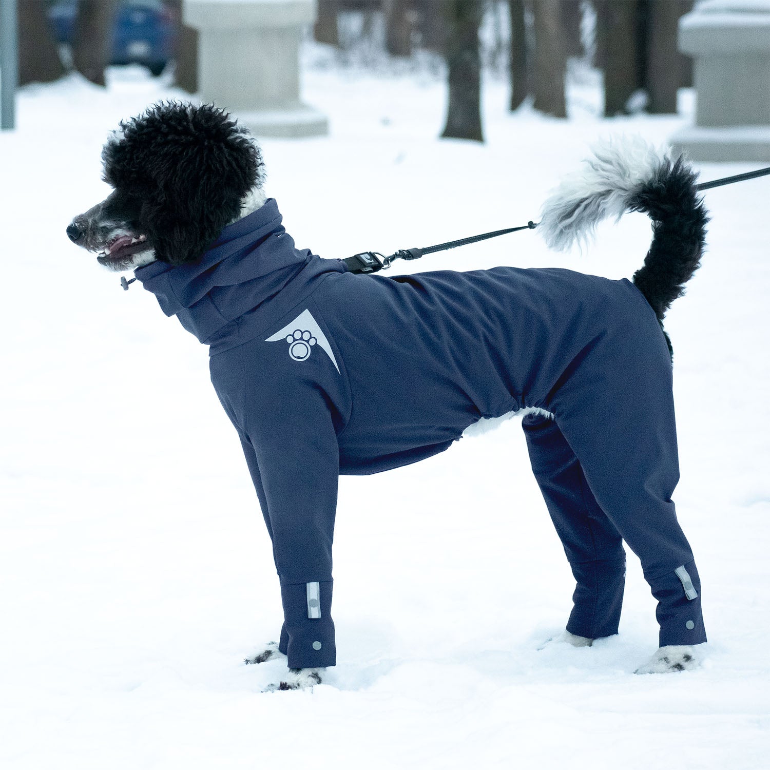 Z'Arctic - Bleu Denim