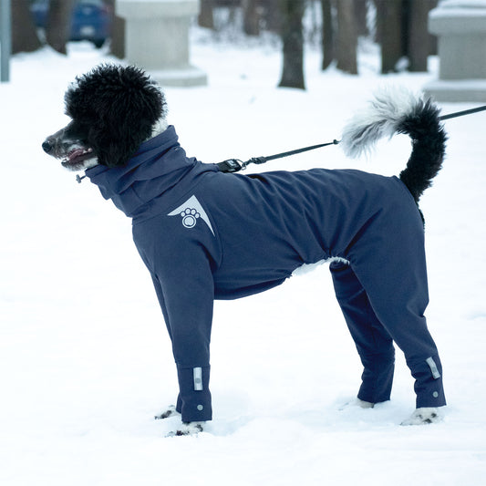 Z'Arctic - Bleu Denim