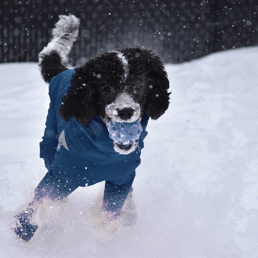 Z'Anorak Classique - Bleu sarcelle