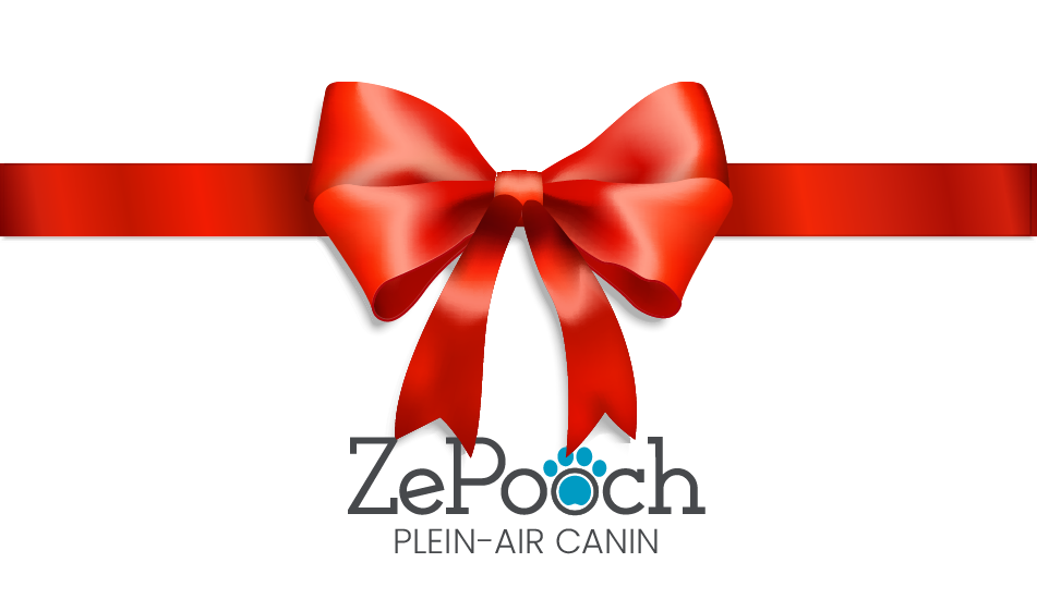 Carte cadeau