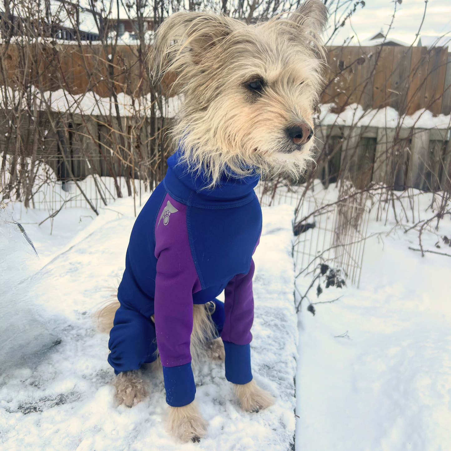 Z'Hoodie Active - Bleu royal et mauve