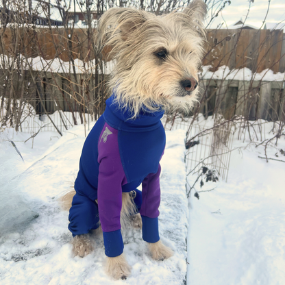 Z'Hoodie Active - Bleu royal et mauve