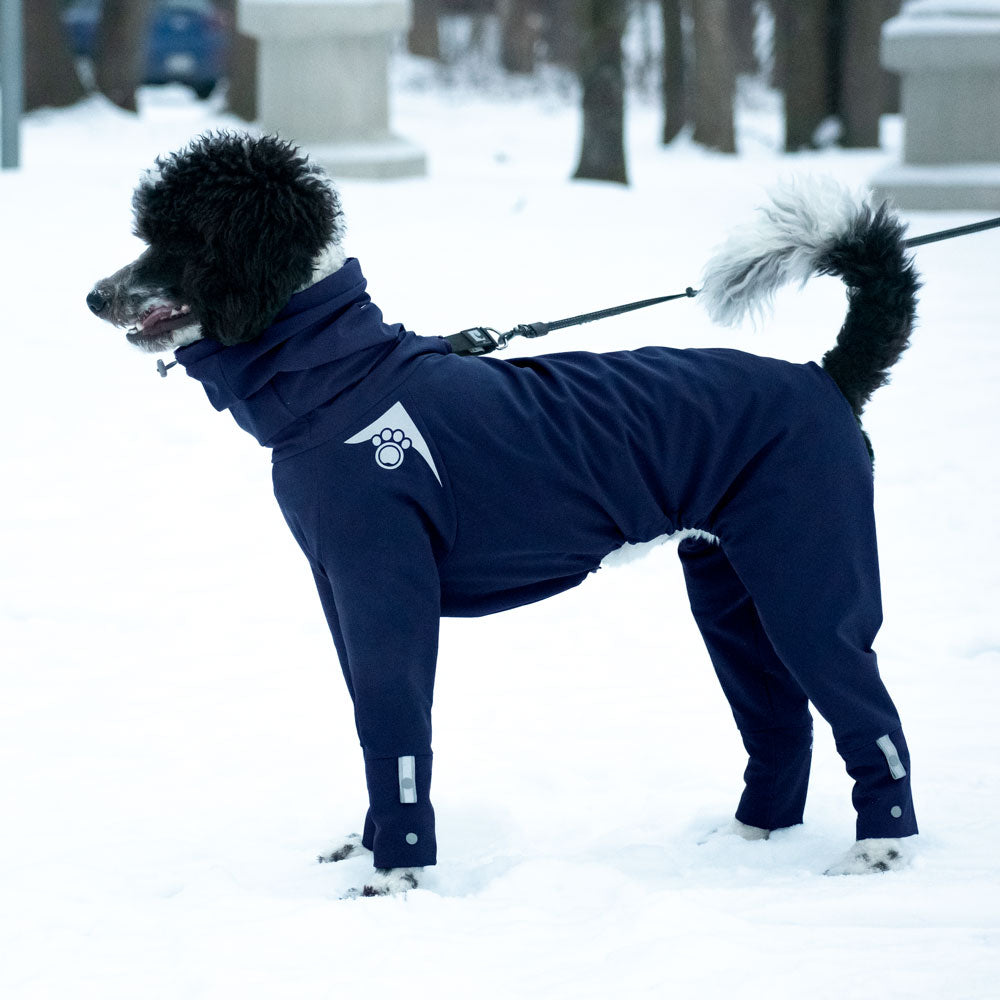 Z'Arctic - Navy Blue